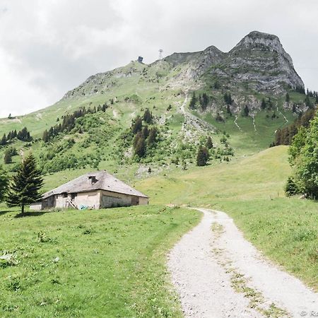 Joli Studio Au Pied Du Moleson Gruyeres Buitenkant foto