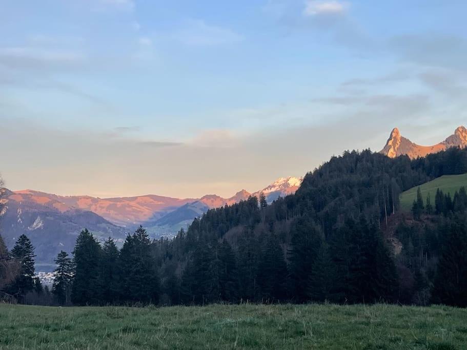 Joli Studio Au Pied Du Moleson Gruyeres Buitenkant foto
